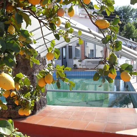 Hotel - Parco Mare Monte